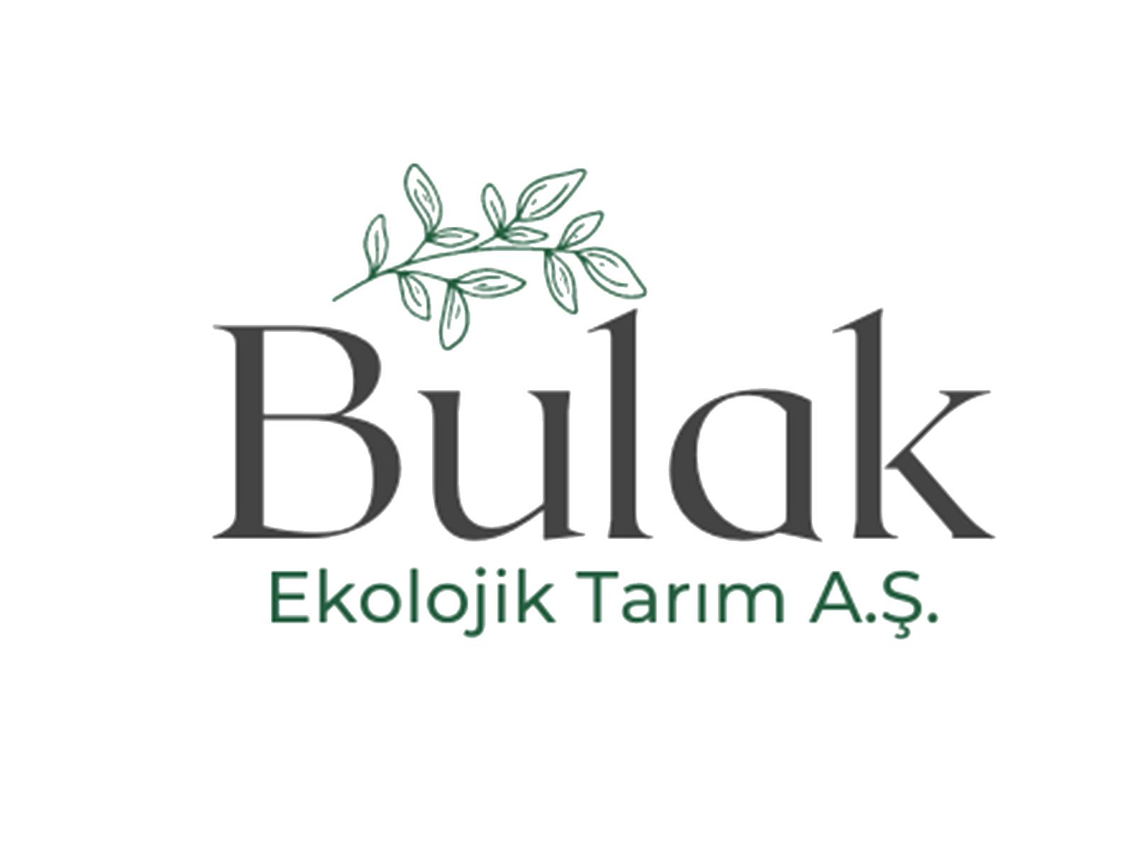 Bulak Ekolojik Tarım ve Sera Ürünleri Sanayi Ticaret A.Ş.