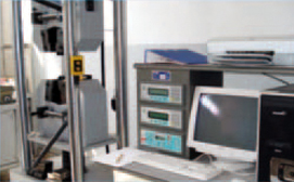 2006